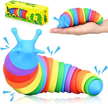 Load image into Gallery viewer, The Fidget Slug Toy